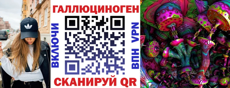 магазин продажи наркотиков  Бабаево  Псилоцибиновые грибы Psilocybine cubensis 